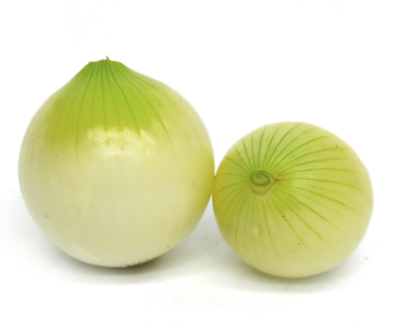 CEBOLLA CABEZONA BO LIMPIA
