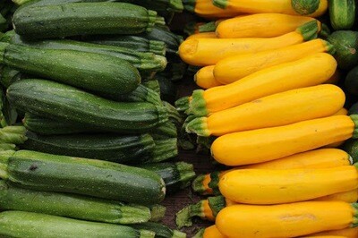 CALABACIN