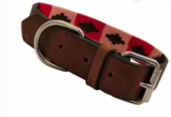 Polo Collar for dogs: Pre-orders