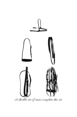Polo Sets
