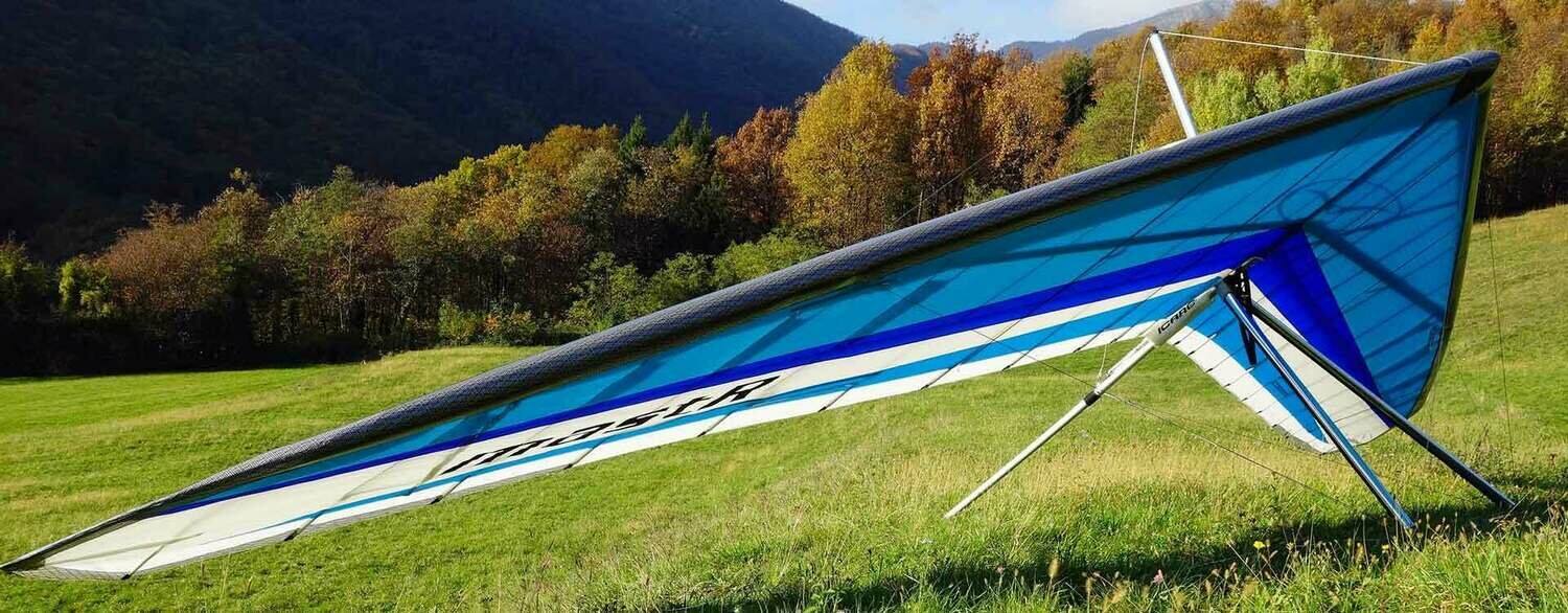 Icaro2000 MastR