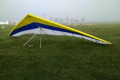 Wills Wing Eagle 164