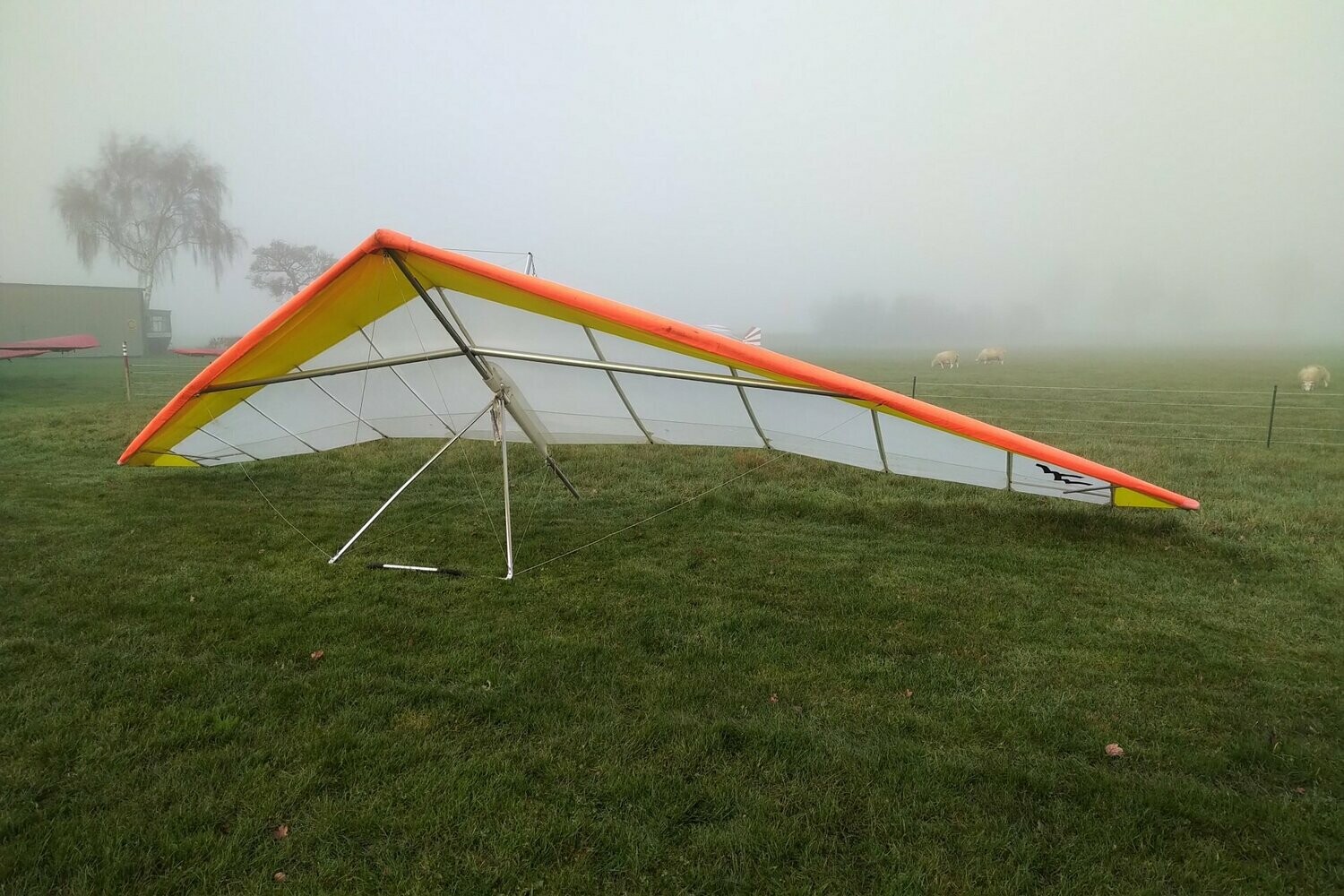 Wills Wing Falcon 3 195