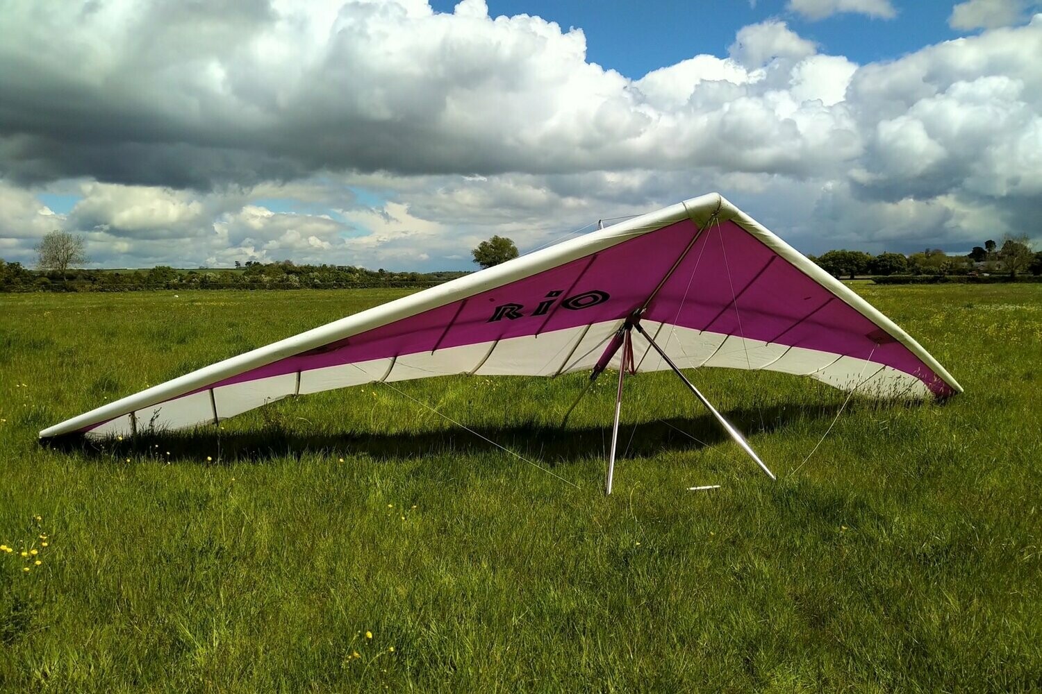 Avian Rio 1 (15)