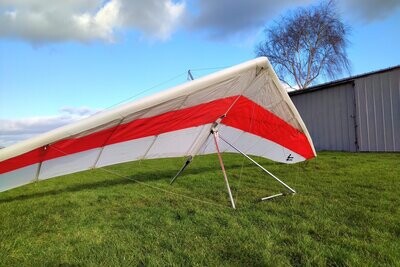 Wills Wing Eagle 145