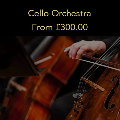 Option 3: Cello Orchestra (20% deposit)