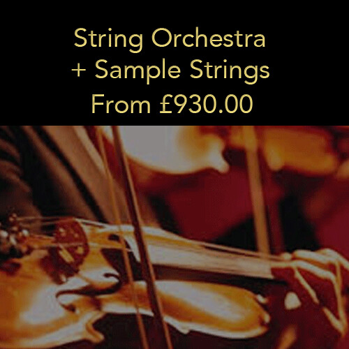 Option 7: String Orchestra + Sample Strings (20% deposit)
