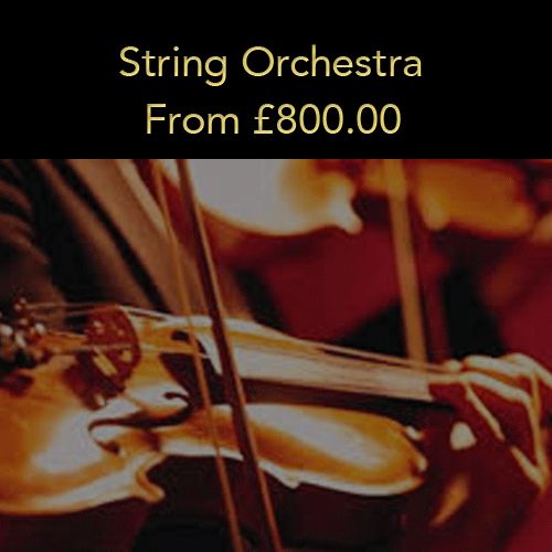 Option 6: String Orchestra (20% deposit)