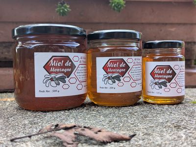 MIEL de MONTAGNE
