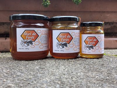 MIEL de FORET