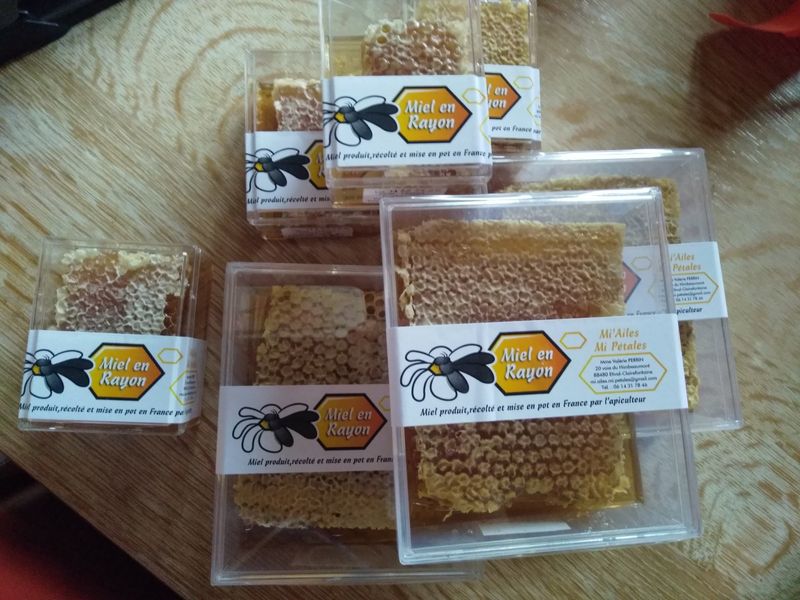 Miel en Rayon forêt 483g Miel en Rayon forêt 483g