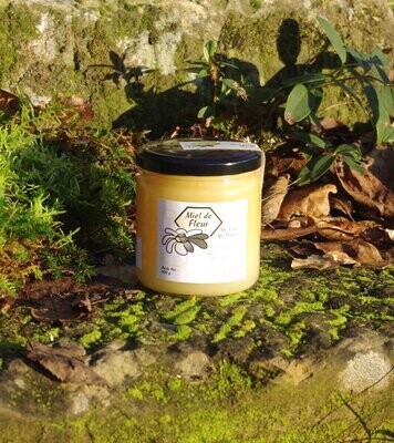 Miel de Fleur 500 g