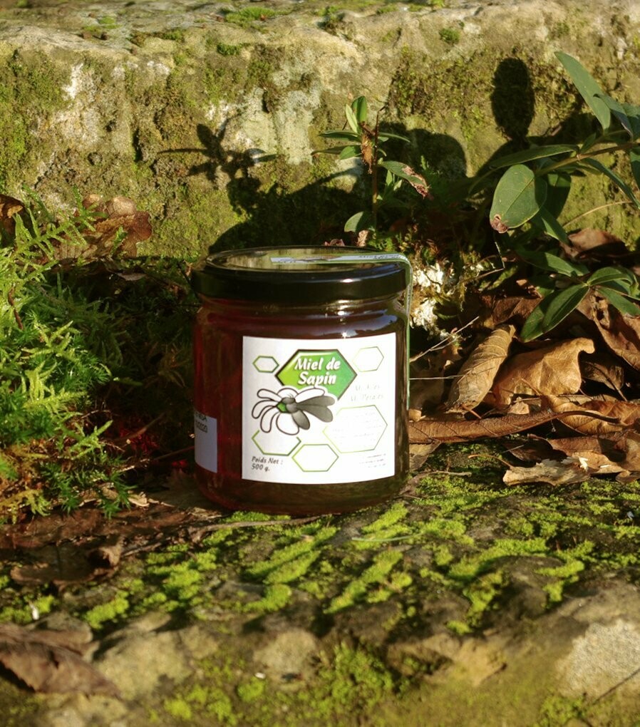 MIEL DE SAPIN 500 g récolte 2026