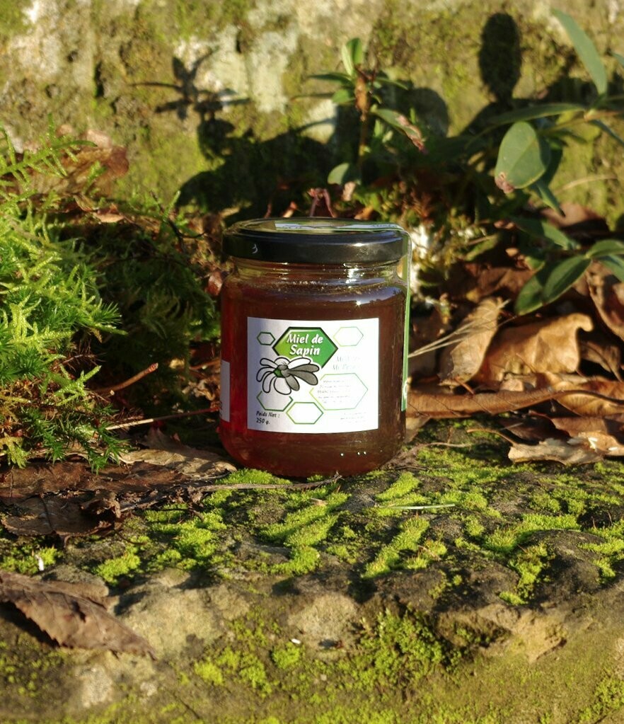 MIEL DE SAPIN 250 g Malheureusement épuisé en 500g, si les récoltes 2026 sont au rdv dispo vers septembre !