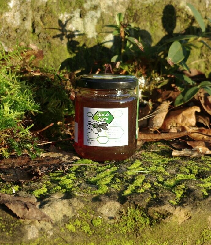 MIEL DE SAPIN 250 g Malheureusement épuisé en 500g, si les récoltes 2026 sont au rdv dispo vers septembre !