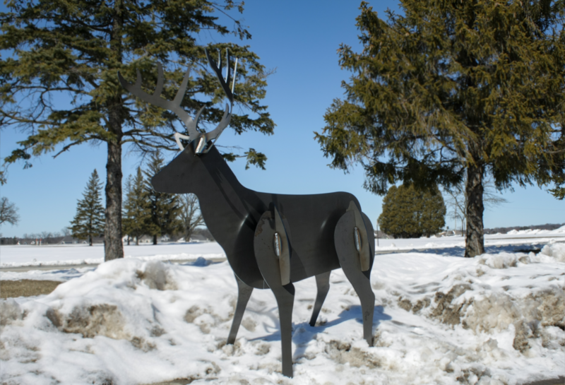 3D White Tail Deer