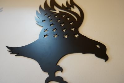 America&#39;s Bird