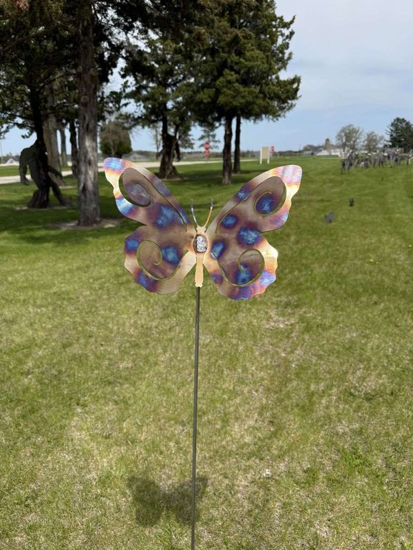 Stainless Steel Butterfly