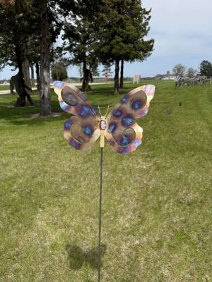 Stainless Steel Butterfly