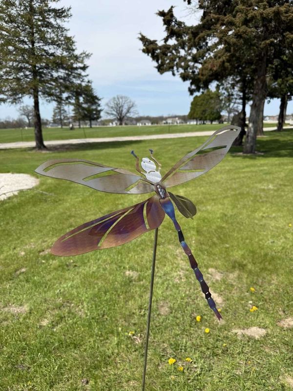 Stainless Steel Dragonfly Stainless Steel Dragonfly