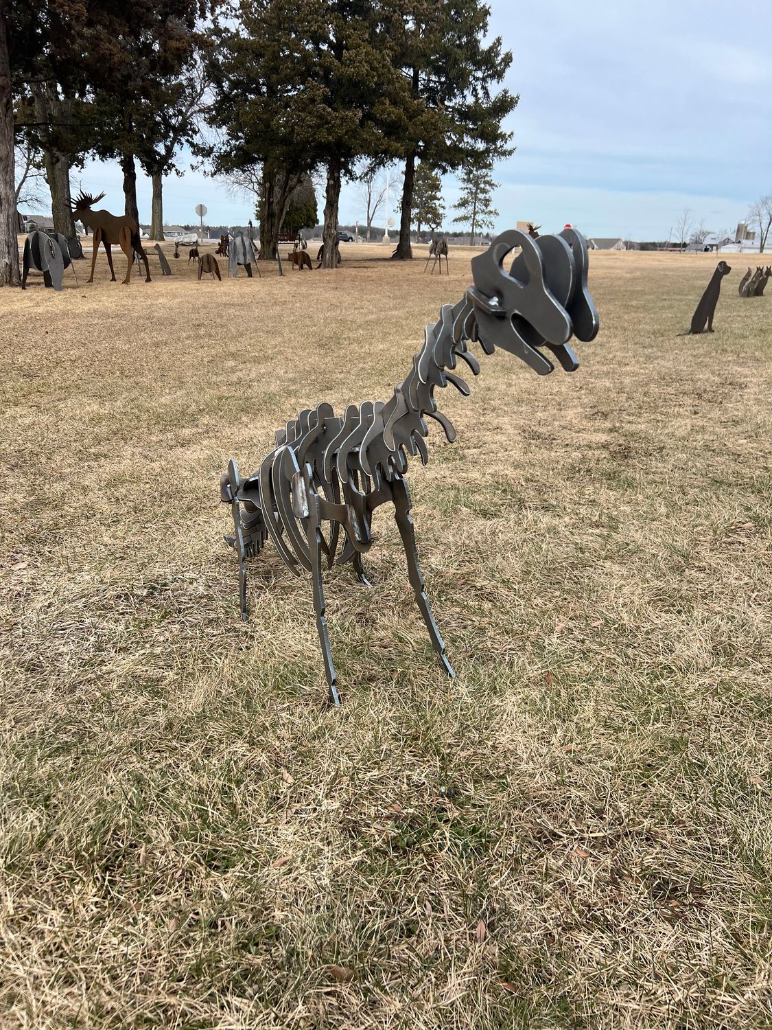 Brachiosaurus Brachiosaurus