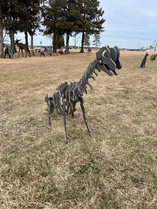 Brachiosaurus Brachiosaurus