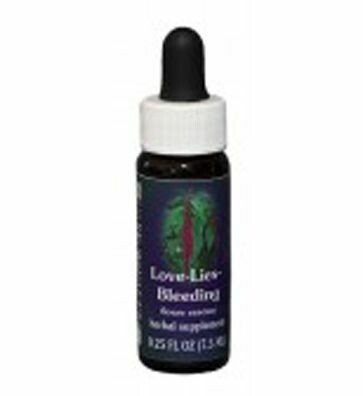Love Lies Bleeding Flower Essence