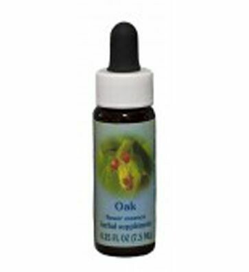 Oak Flower Essence