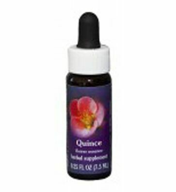 Quince Flower Essence  24451
