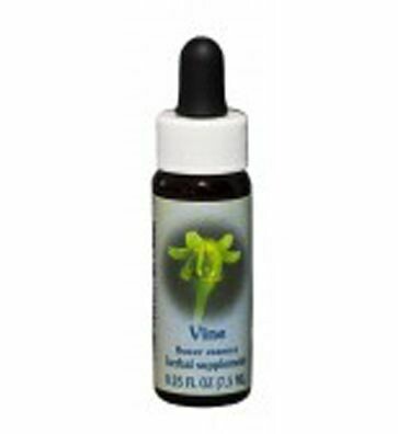 Vine Flower Essence