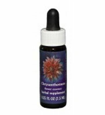 Chrysanthemum Floral Essence