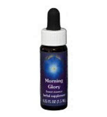 Morning Glory Flower Essence