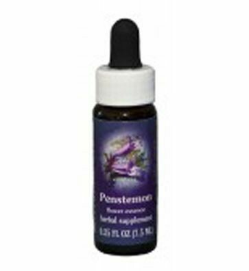 Penstemon Flower Essence