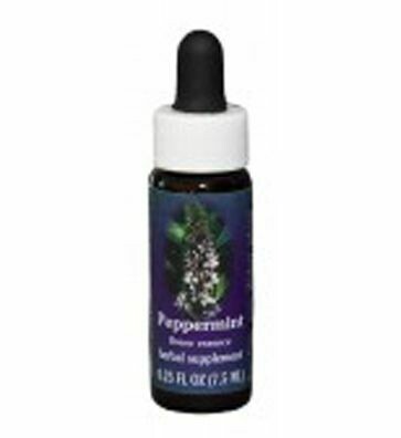Peppermint Flower Essence