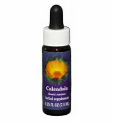 Calendula Flower Essence