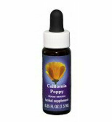 California Poppy Flower Essence