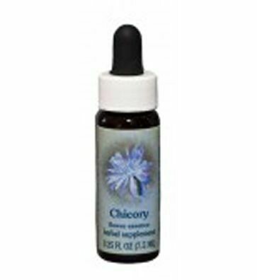 Chicory Flower Essence