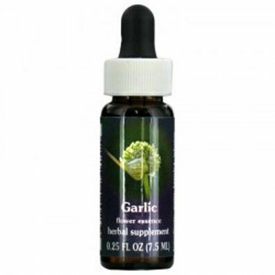 Garlic Flower Essence