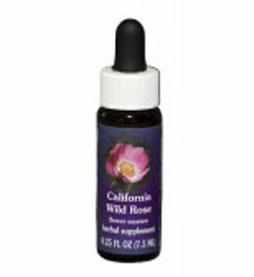 California Wild Rose Flower Essence