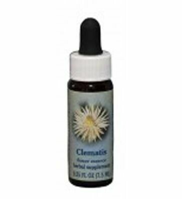Clematis Flower Essence
