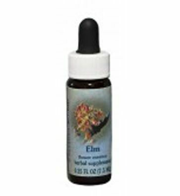 Elm Flower Essence