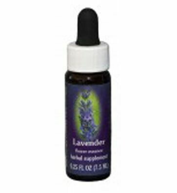 Lavender Flower Essence Lavender Flower Essence