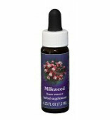 Milkweed Flower Essence