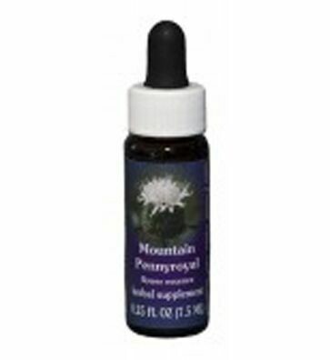 Mountain Pennyroyal Flower Essence