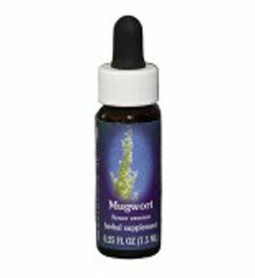 Mugwort Flower Essence