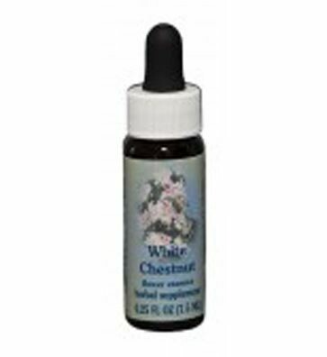 White Chestnut Flower Essence