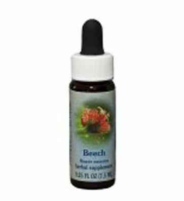 Beech Flower Essence