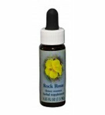 Rock Rose Flower Essence