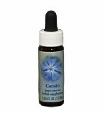 Cerato Flower Essence