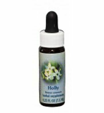 Holly Flower Essence
